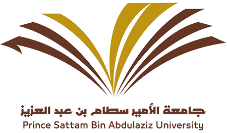 Prince Sattam university